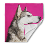 Cute Alaskan Malamute Print Silk Bandana