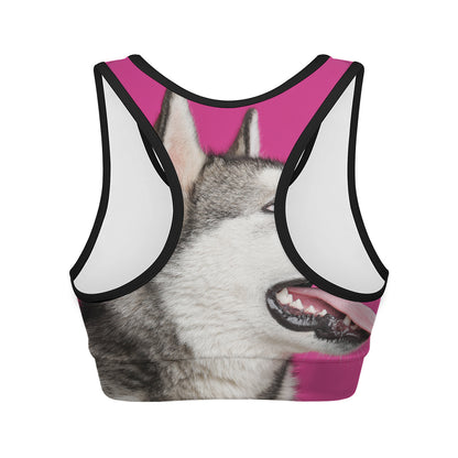 Cute Alaskan Malamute Print Women's Sports Bra