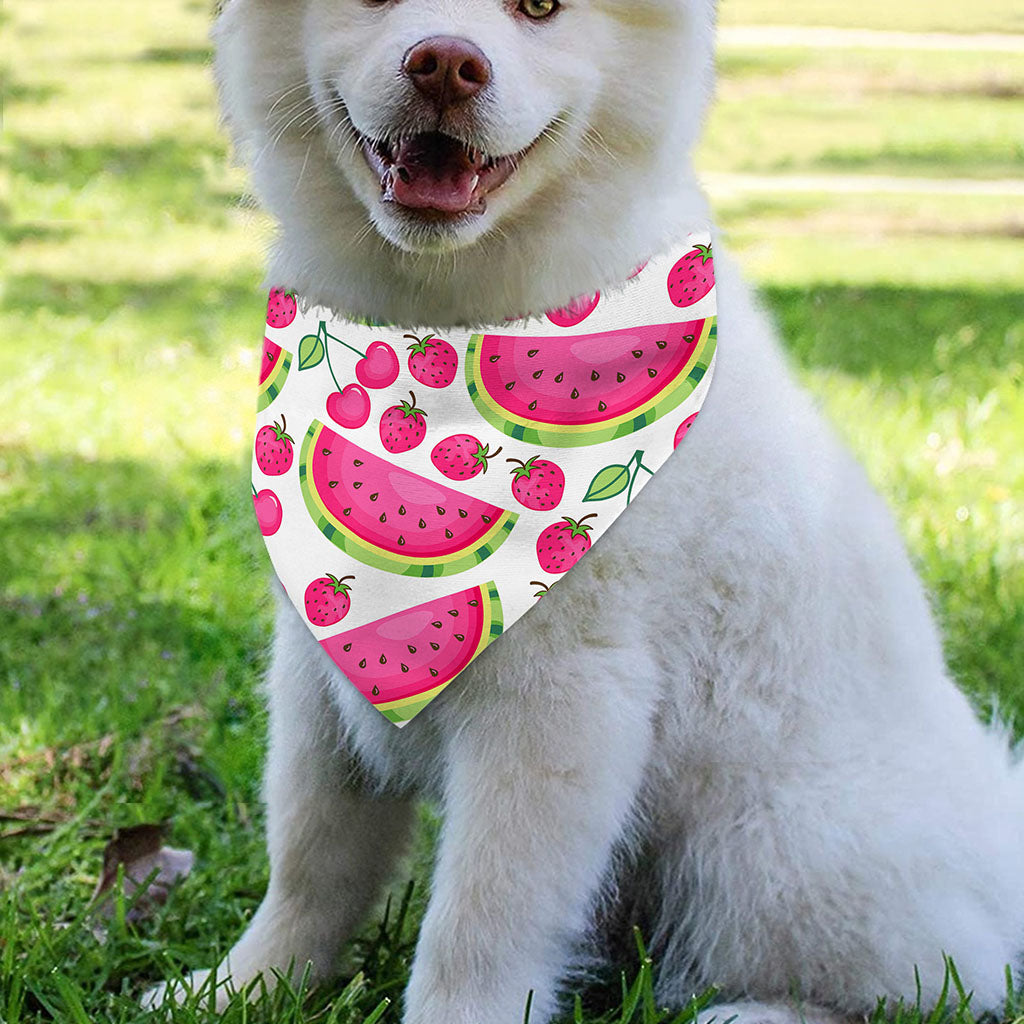 Cute Berry Watermelon Pattern Print Over The Collar Dog Bandana