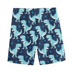 Cute Blue T-Rex Dinosaur Pattern Print Men's Sports Shorts