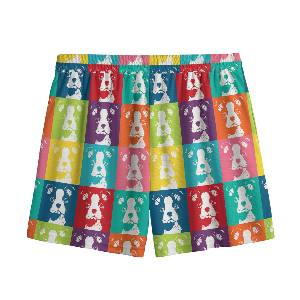 Cute Boston Terrier Faces Print Mesh Shorts