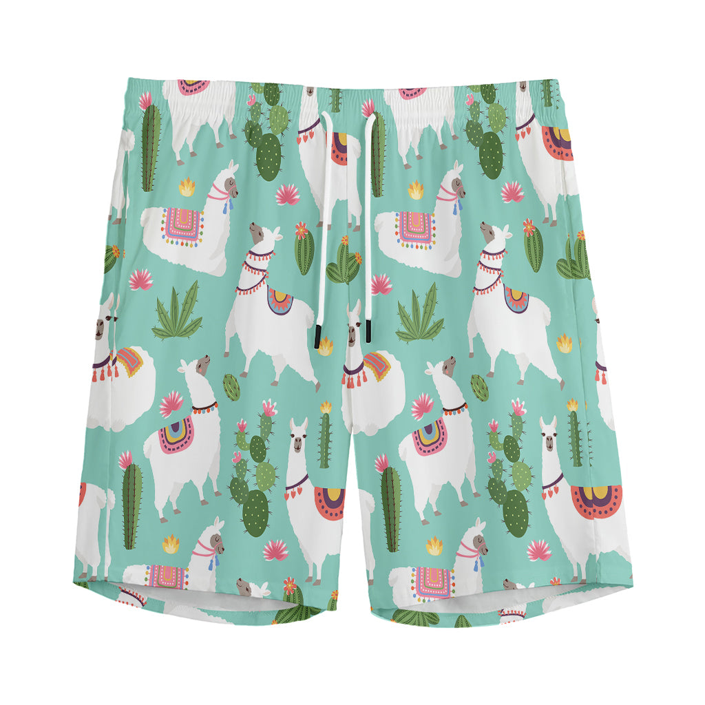 Cute Cactus And Llama Pattern Print Men's Sports Shorts