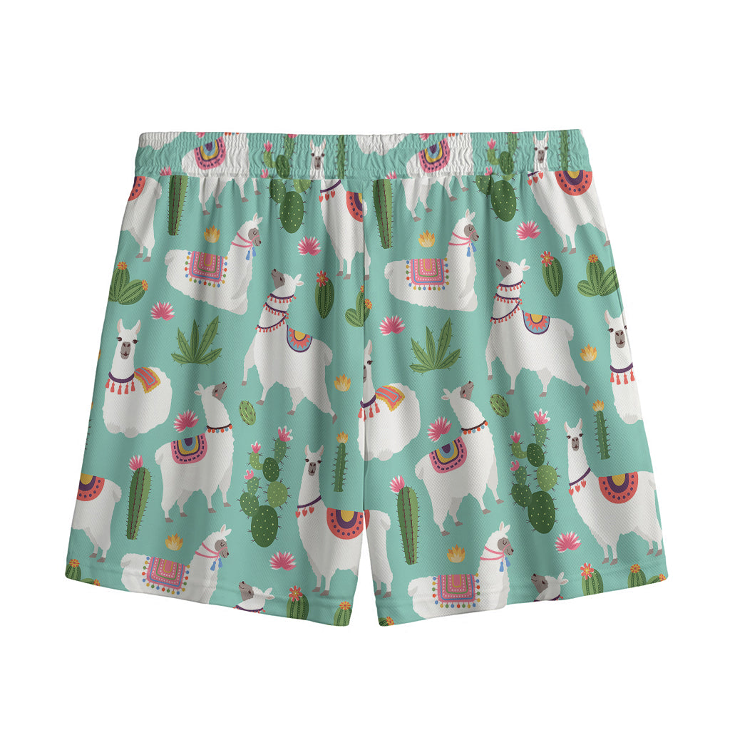 Cute Cactus And Llama Pattern Print Mesh Shorts