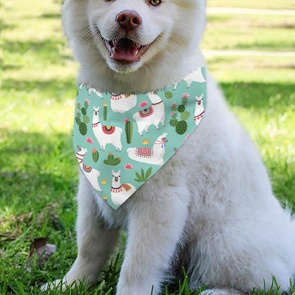 Cute Cactus And Llama Pattern Print Over The Collar Dog Bandana