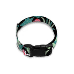 Cute Cactus And Succulent Print Dog Collar