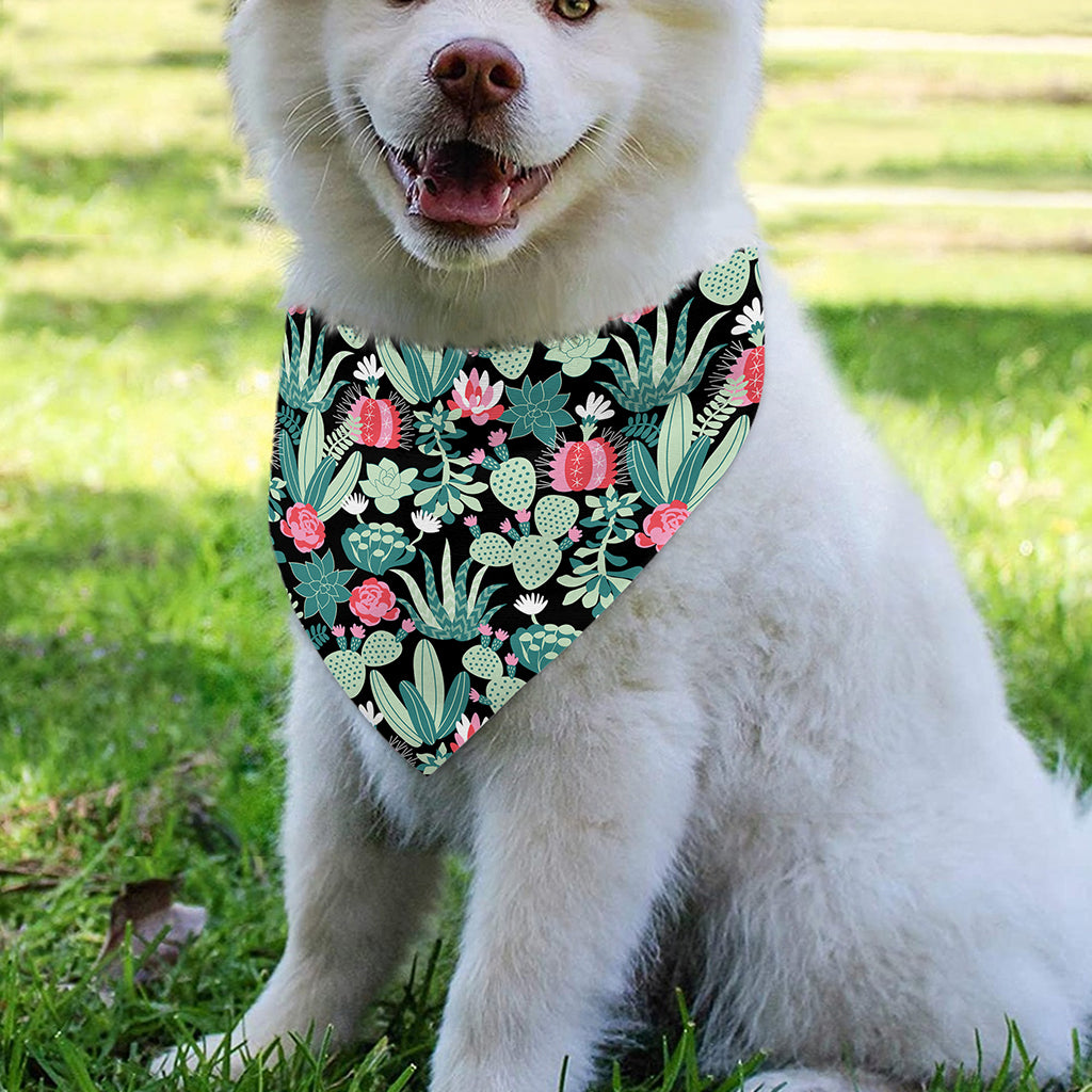 Cute Cactus And Succulent Print Over The Collar Dog Bandana