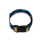 Cute Cartoon Aquarius Pattern Print Dog Collar