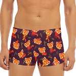 Cute Cartoon Red Panda Pattern Print Men's Short Boxer Briefs