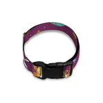 Cute Cartoon Sagittarius Pattern Print Dog Collar