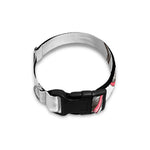 Cute Chihuahua With Glasses Print Dog Collar