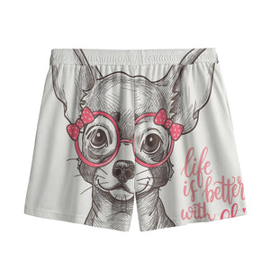 Cute Chihuahua With Glasses Print Mesh Shorts