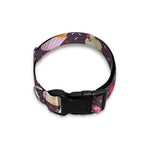 Cute Cupcake Pattern Print Dog Collar