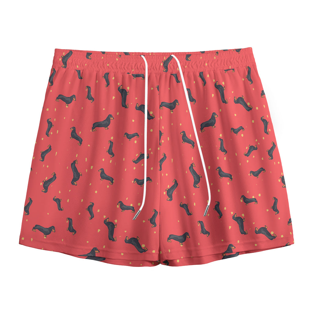 Cute Dachshund Pattern Print Mesh Shorts