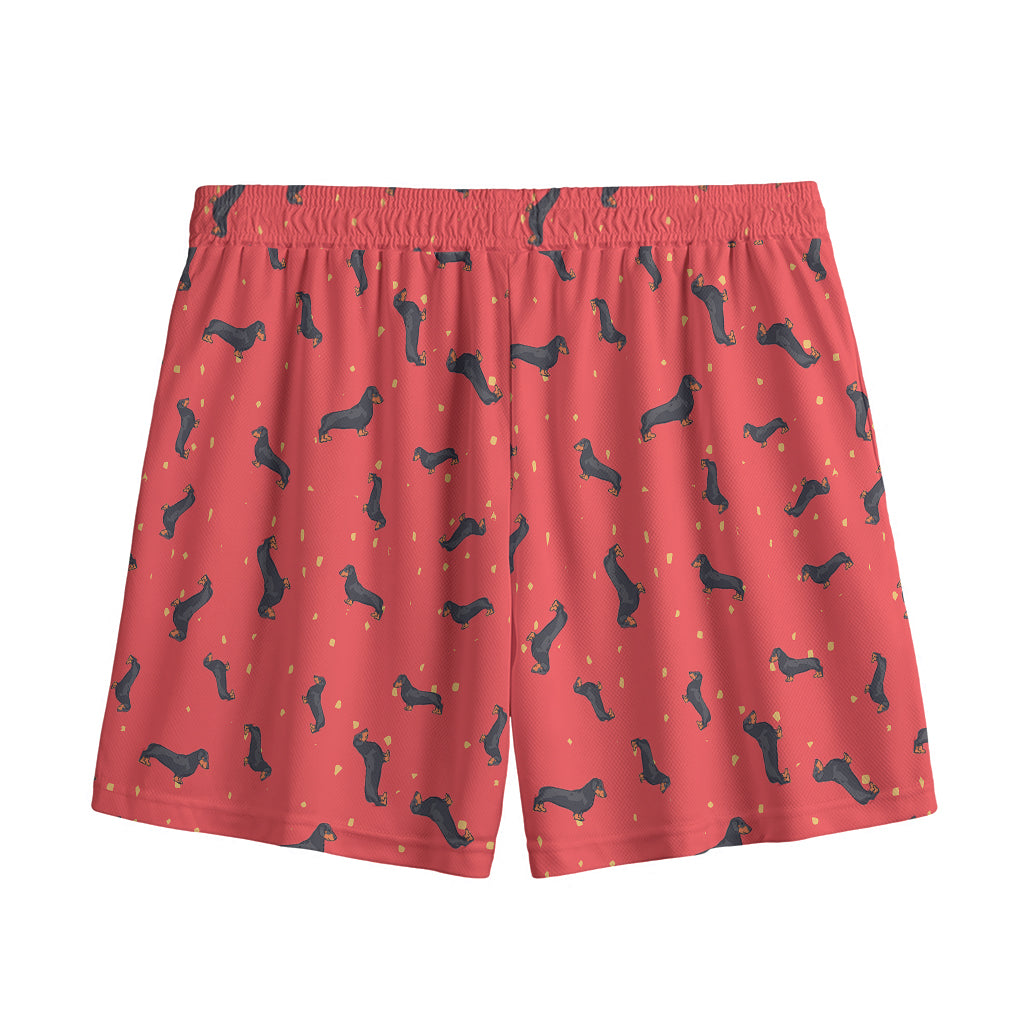 Cute Dachshund Pattern Print Mesh Shorts