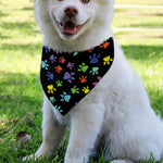 Cute Dino Footprint Pattern Print Over The Collar Dog Bandana