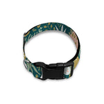 Cute Dino Tropical Leaves Pattern Print Dog Collar