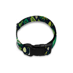 Cute Dinosaur And Floral Pattern Print Dog Collar