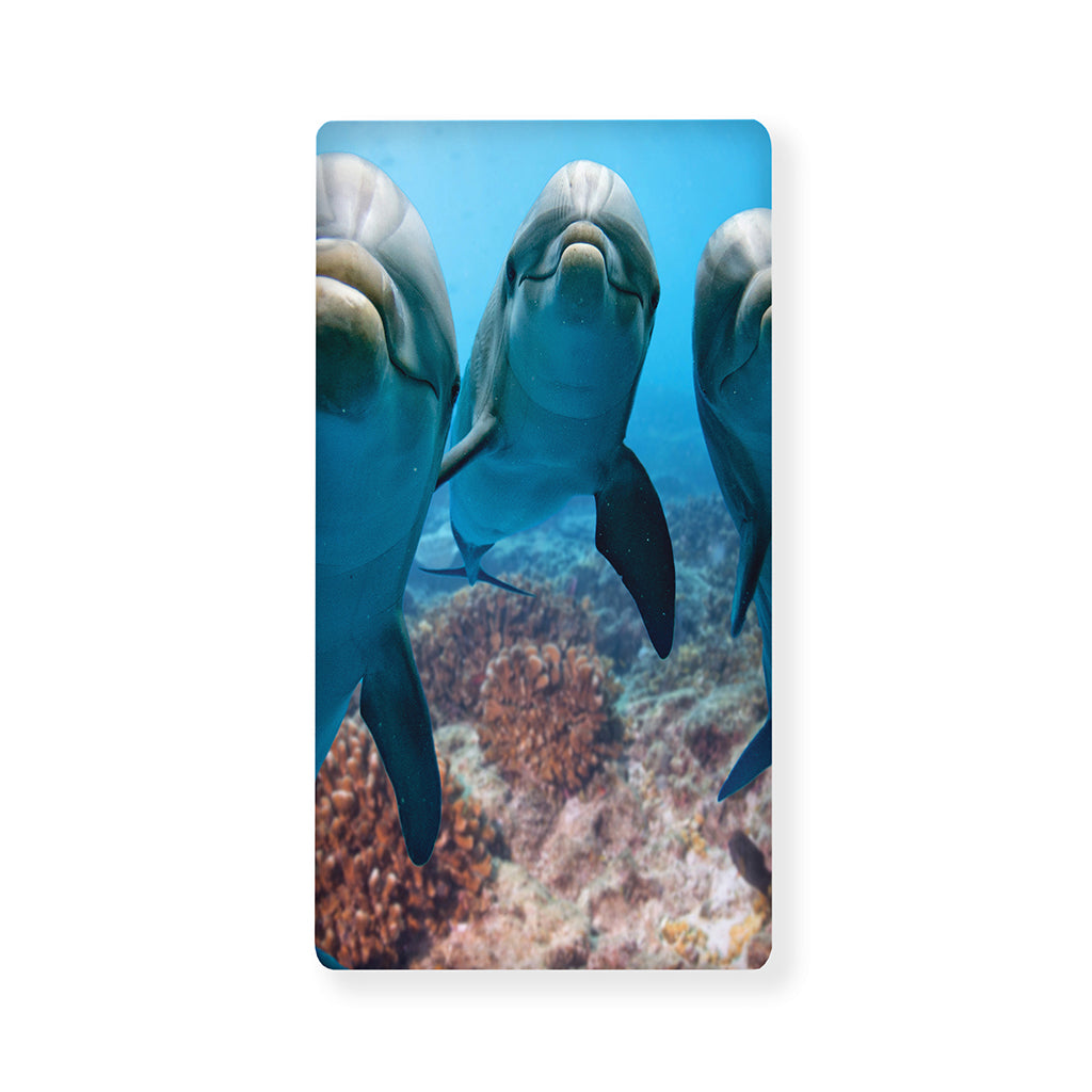 Cute Dolphins In The Ocean Print Baby Crib Sheet