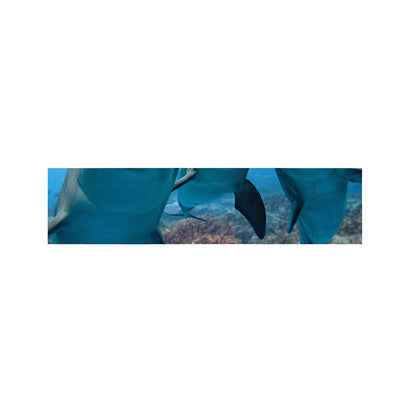 Cute Dolphins In The Ocean Print Bed Runner
