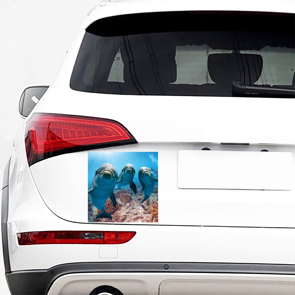 Cute Dolphins In The Ocean Print Car Sticker