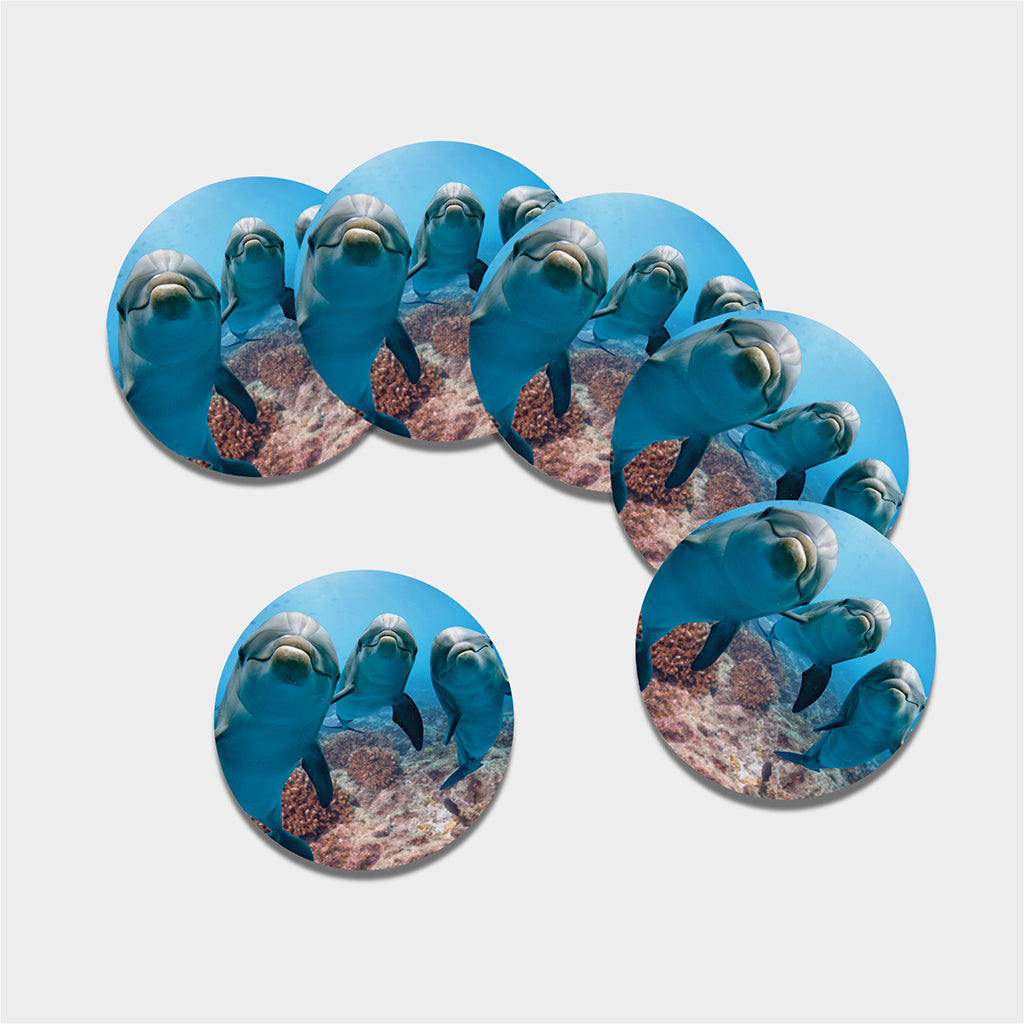 Cute Dolphins In The Ocean Print Leather Coaster Set