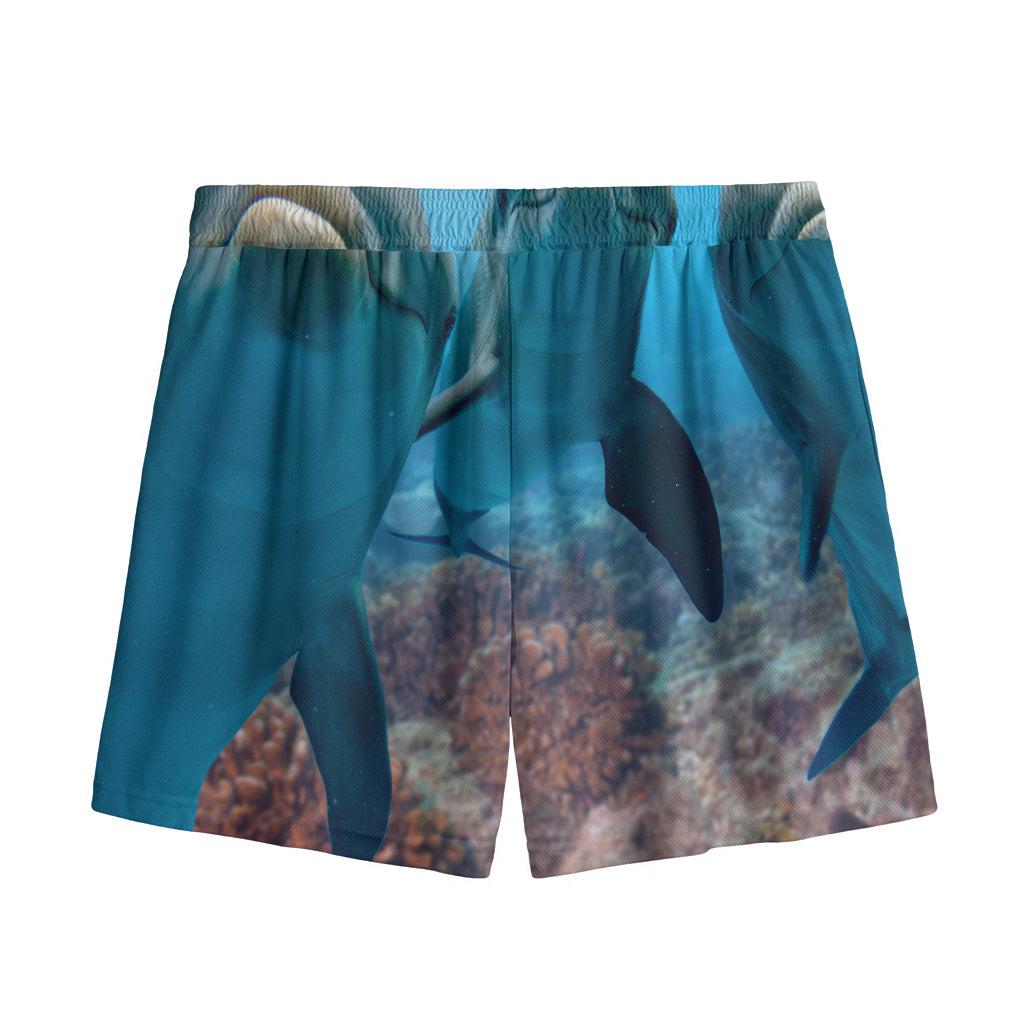 Cute Dolphins In The Ocean Print Mesh Shorts