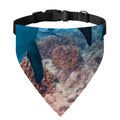 Cute Dolphins In The Ocean Print Over The Collar Dog Bandana
