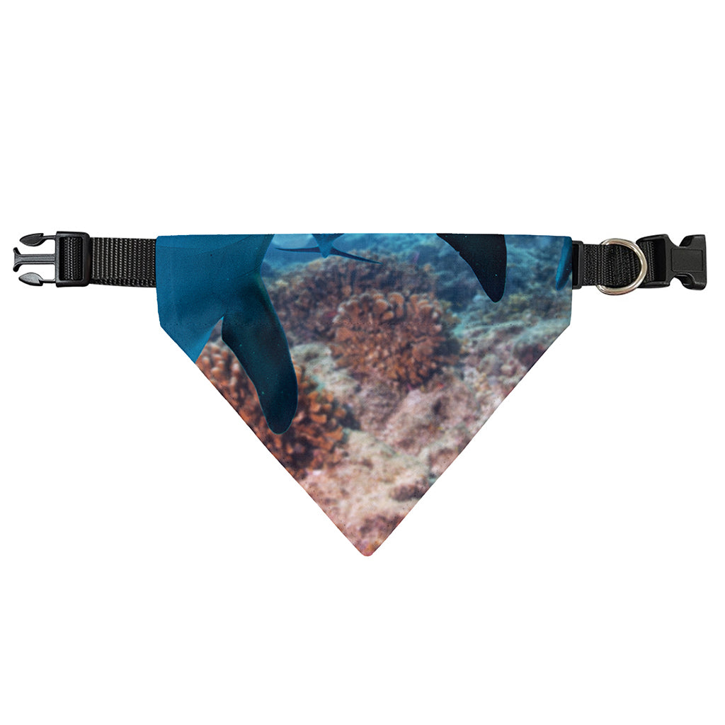 Cute Dolphins In The Ocean Print Over The Collar Dog Bandana