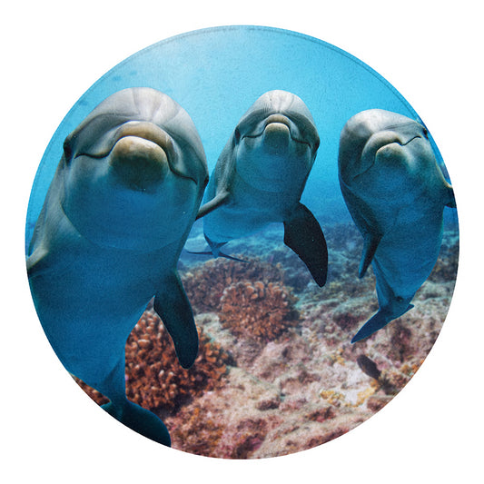 Cute Dolphins In The Ocean Print Round Blanket