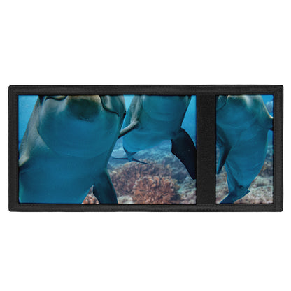 Cute Dolphins In The Ocean Print Trifold Wallet