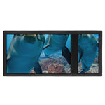 Cute Dolphins In The Ocean Print Trifold Wallet