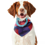 Cute Dracula Print Dog Bandana