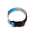 Cute Dracula Print Dog Collar