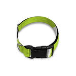 Cute Frankenstein Face Print Dog Collar