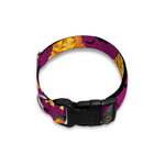 Cute Halloween Pumpkin Witch Print Dog Collar