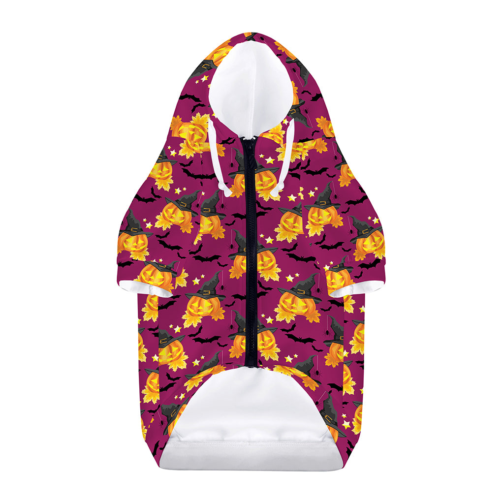 Cute Halloween Pumpkin Witch Print Dog Zip Up Hoodie