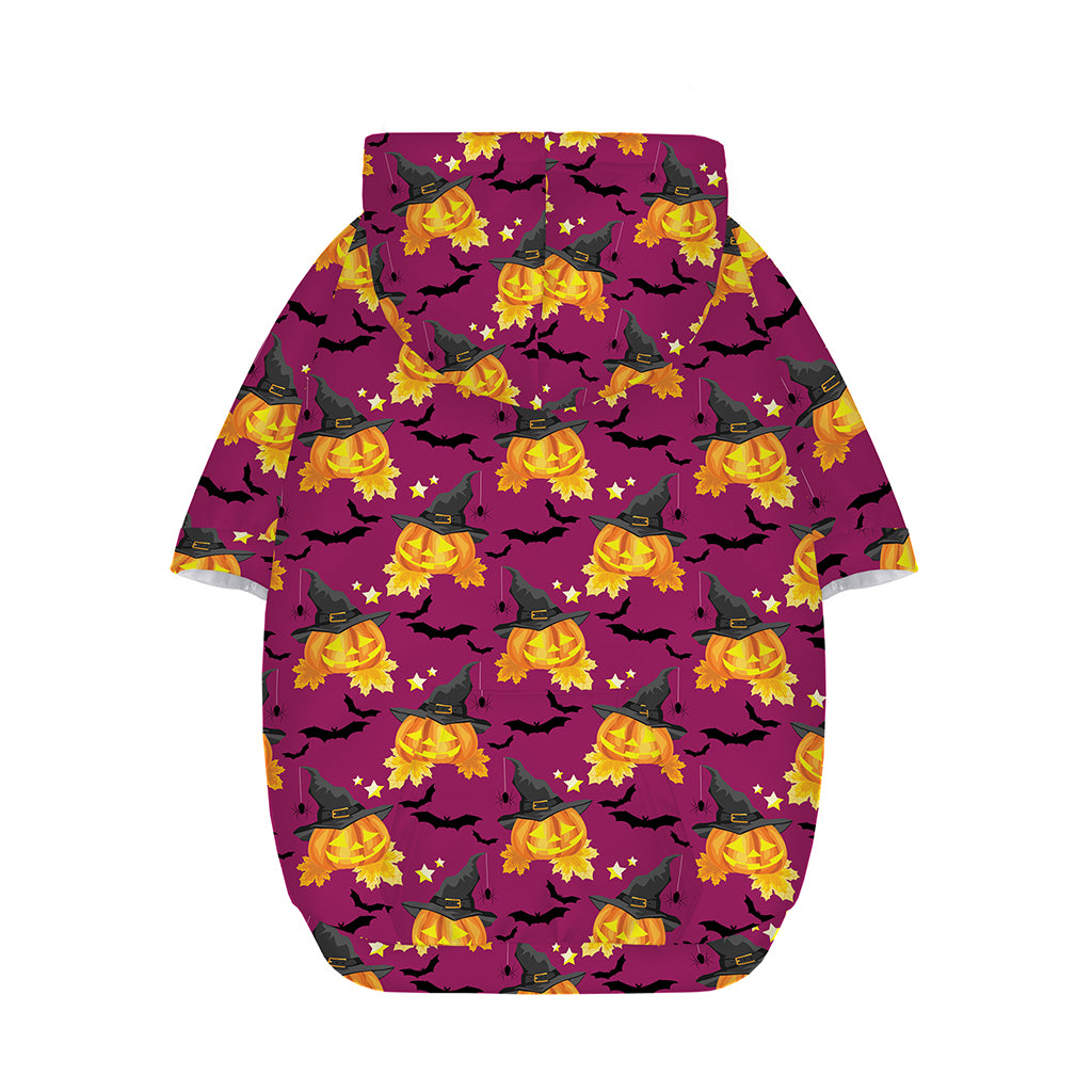 Cute Halloween Pumpkin Witch Print Dog Zip Up Hoodie