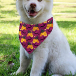 Cute Halloween Pumpkin Witch Print Over The Collar Dog Bandana