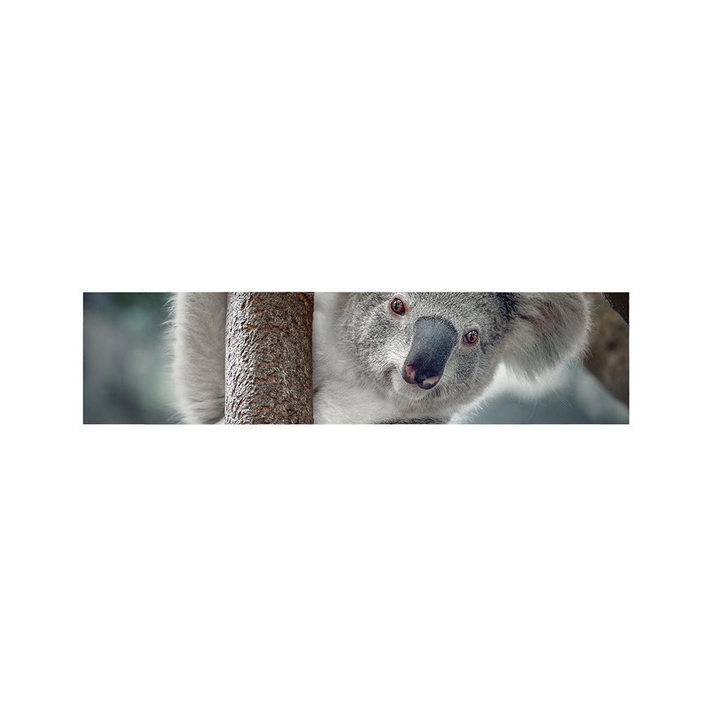 Cute Koala Print Bed Runner