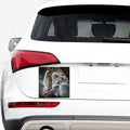 Cute Koala Print Car Sticker