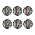 Cute Koala Print Coaster Set