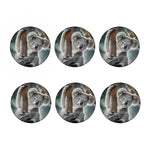 Cute Koala Print Coaster Set