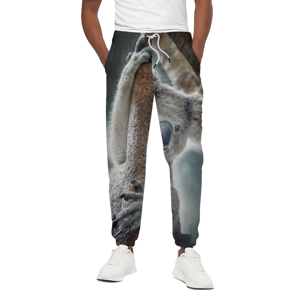 Cute Koala Print Cotton Pants
