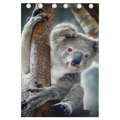 Cute Koala Print Curtain