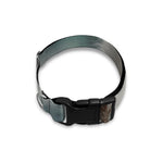 Cute Koala Print Dog Collar