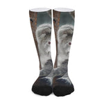 Cute Koala Print Long Socks