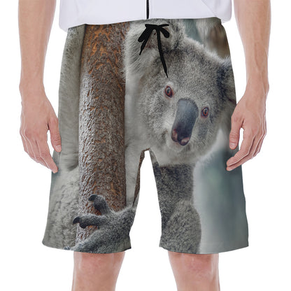 Cute Koala Print Men's Beach Shorts
