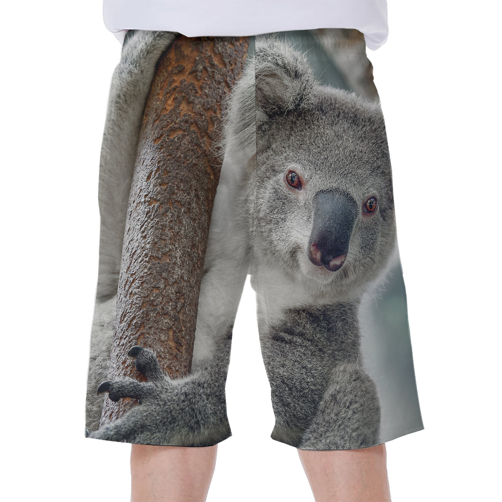 Cute Koala Print Men's Beach Shorts