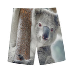 Cute Koala Print Men's Sports Shorts