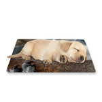 Cute Koala Print Pet Cooling Mat Cover